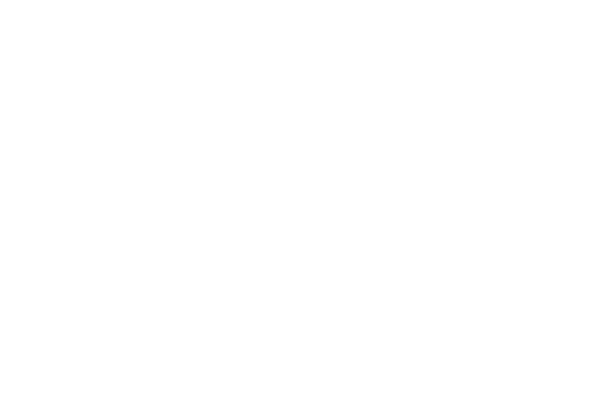 CLIP STUDIO PAINT